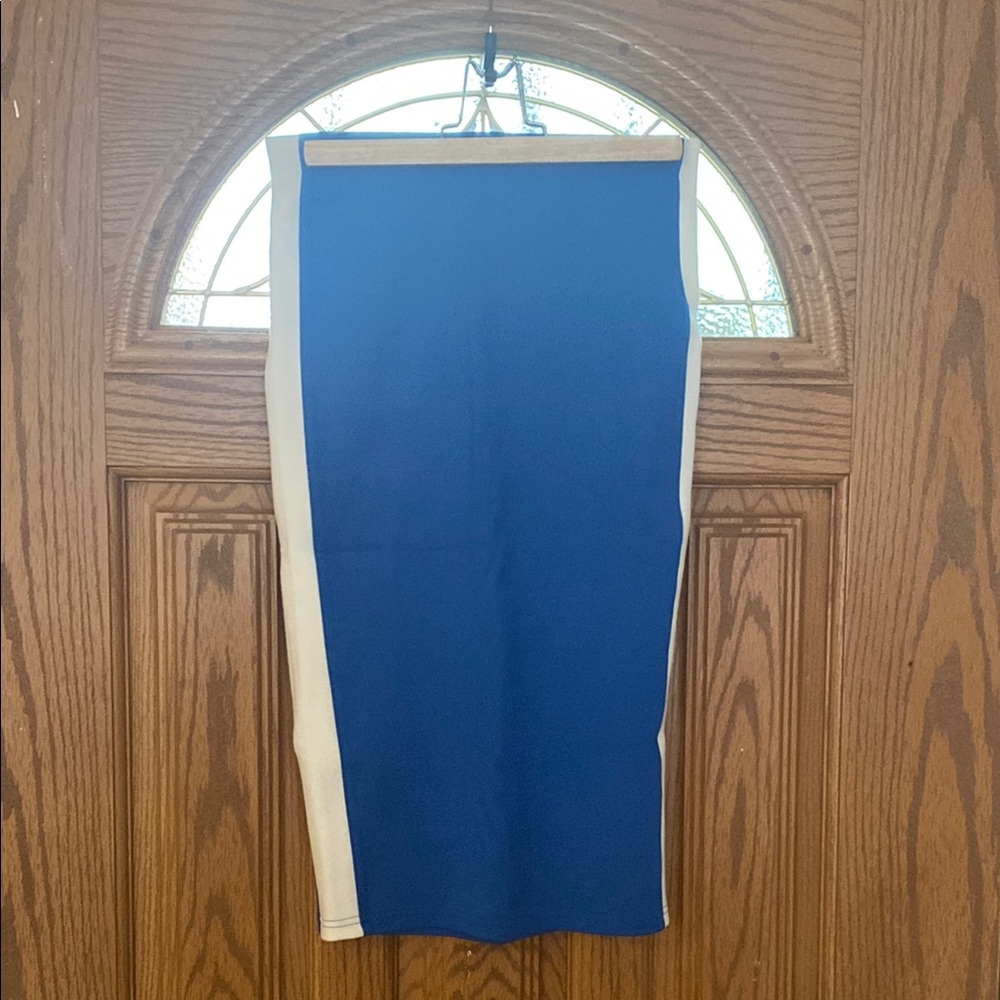 Blue and White Women's Skirt
